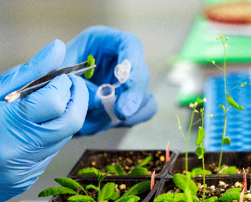 research and innovation Denmark