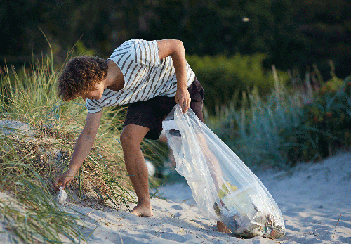 Sustainability cleaning the beach