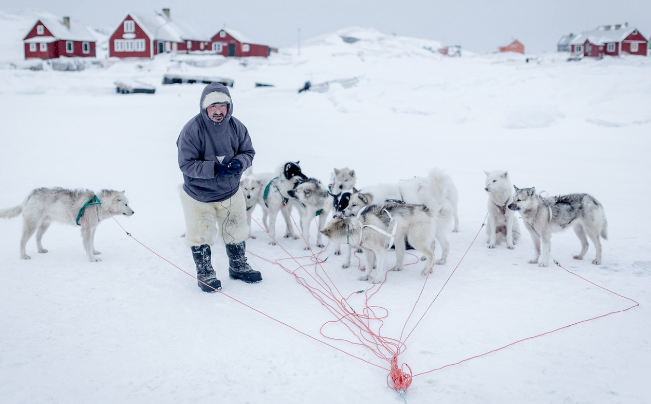 Greenland-Dogsled-Man-Break
