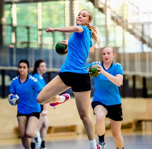 Overdreven storhedsvanvid Balehval Sport in Denmark | A handball nation | Denmark.dk