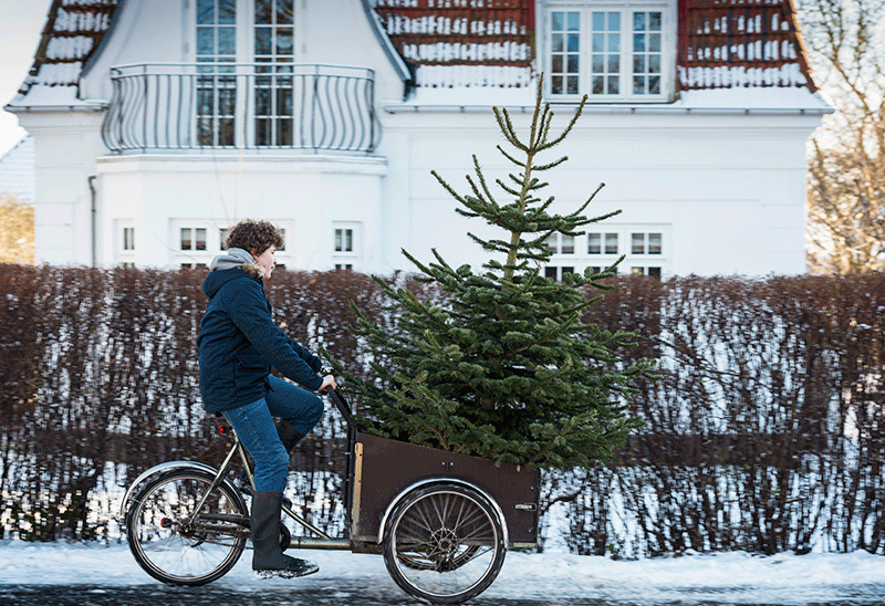 Chistmas tree in christania bike