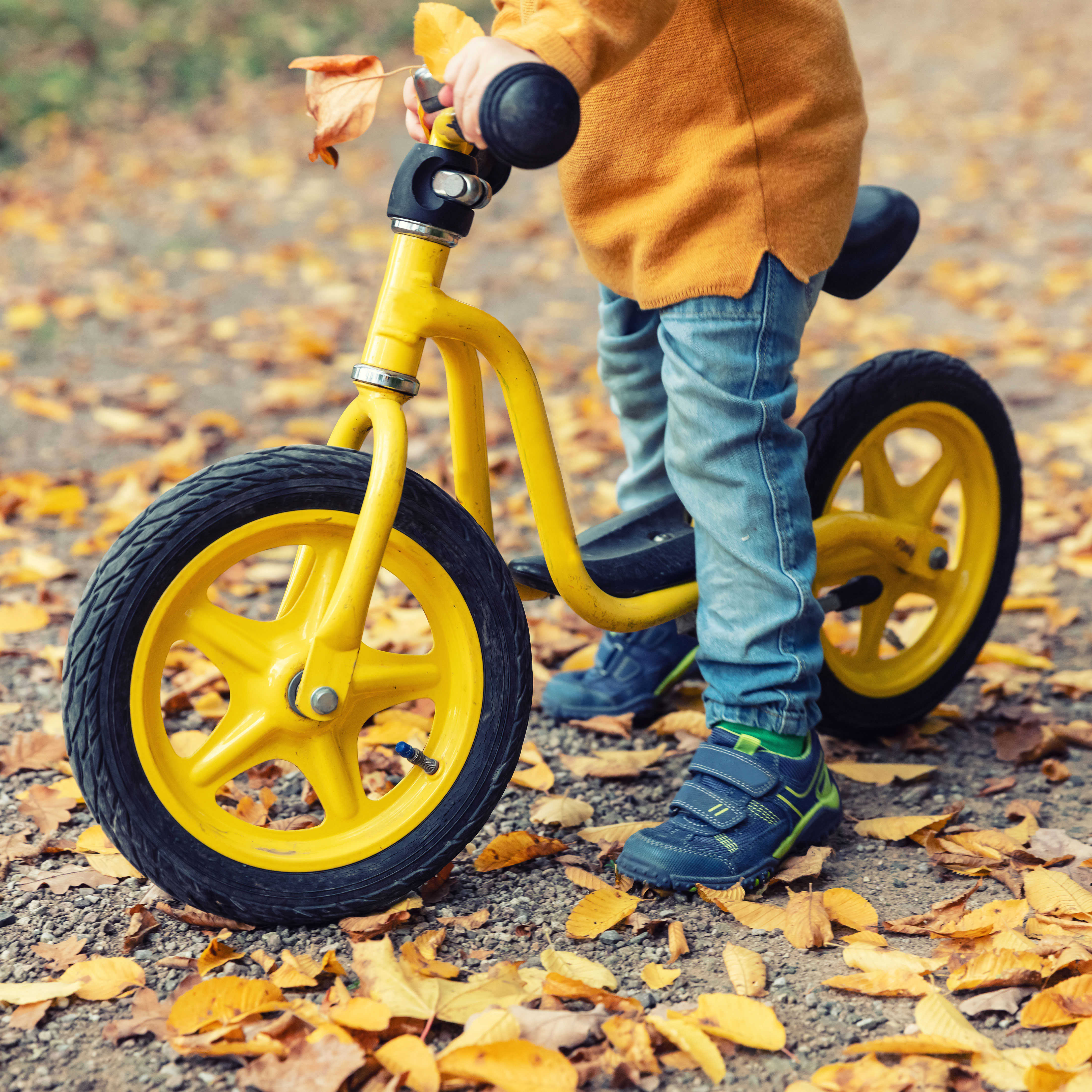 pedal-free bike Denmark biking cycle bike