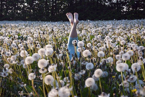 Photo: Niclas Jessen
