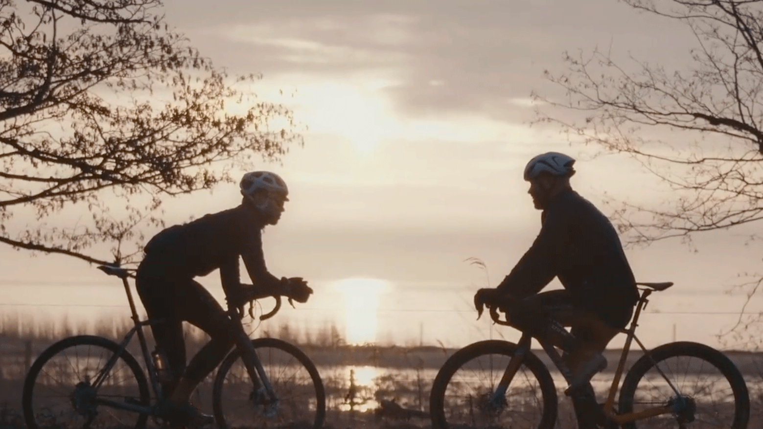 Denmark biking in the sunset