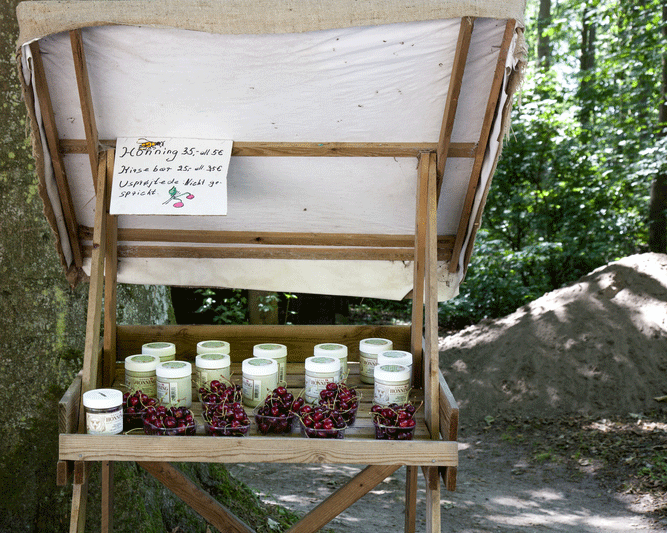 Danish Roadshop with Berries