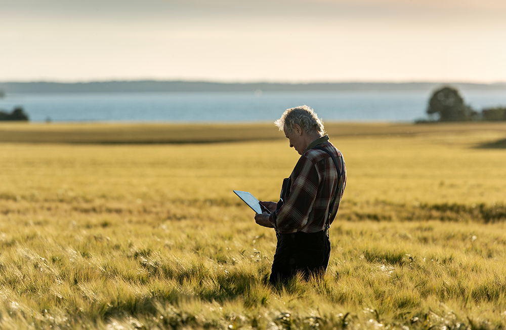 digitalisation-in-denmark